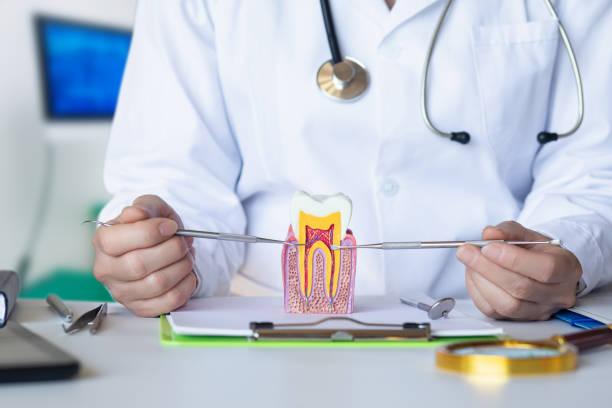 Best Tooth Pain Emergency Relief  in Huntington, WV